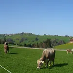 Hébergement de vacances Frohheim By Interhome Sankt Peterzell