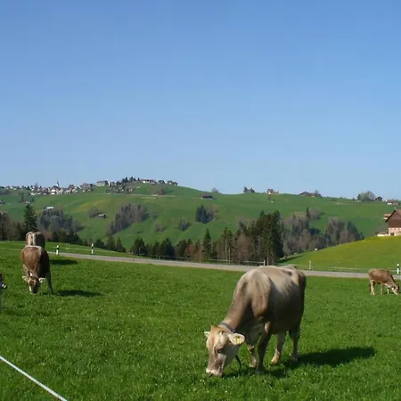 Dom wakacyjny Frohheim By Interhome Sankt Peterzell