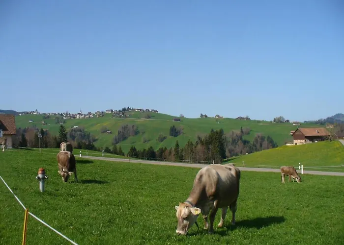 Hébergement de vacances Frohheim By Interhome Sankt Peterzell